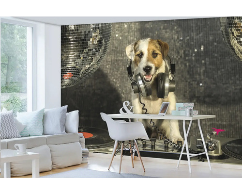 Fotobehang met hond, hoofdtelefoon en discoballen in de woonkamer