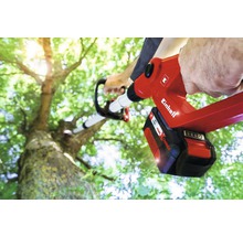 Accu snoeizaag bij het snoeien van boomtakken