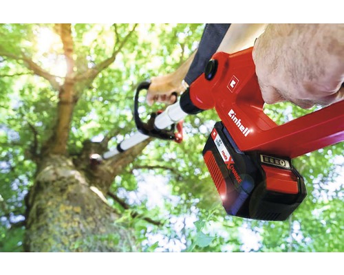 Accu snoeizaag bij het snoeien van boomtakken