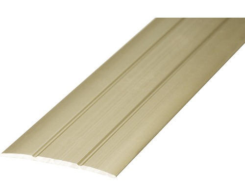 PRINZ Overgangsprofiel 38 mm aluminium zelfklevend RVS 100 cm Vloerprofiel van kunststof