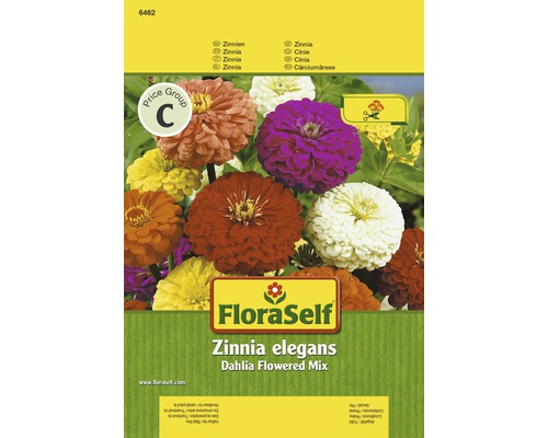 FLORASELF® Zinnia dahlia Zinnia elegans bloemenzaden FLORASELF® Zinnia dahlia Zinnia elegans bloemenzaden