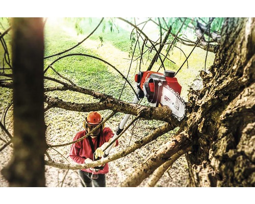 Persoon met helm en takkenzaag die boom snoeit