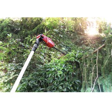 Telescopische heggenschaar in gebruik voor het snoeien van struiken