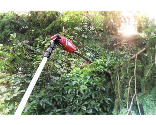 Telescopische heggenschaar in gebruik voor het snoeien van struiken