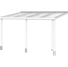 Vrijstaande carport met transparant dak