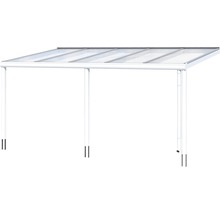 Vrijstaande carport met heldere overkapping