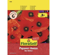 FLORASELF® Papaver rood-felrood Papaver rhoeas bloemenzaden-thumb-0 FLORASELF® Papaver rood-felrood Papaver rhoeas bloemenzaden-thumb-0