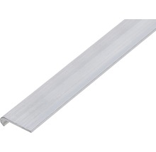 Aluminium traprandprofiel