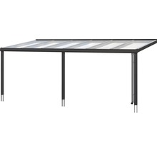 Carport met doorschijnend dak