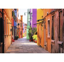 Steeg met kleurrijke huizen en plantenbakken