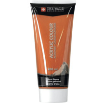 Acrylverf in tube, gebrande sienna, 200 ml