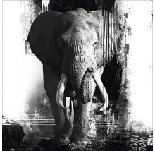 Decoratieve afbeelding van een olifant in moderne stijl.
