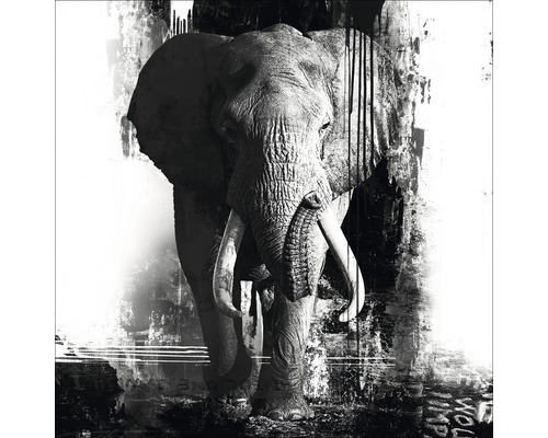 Decoratieve afbeelding van een olifant in moderne stijl.