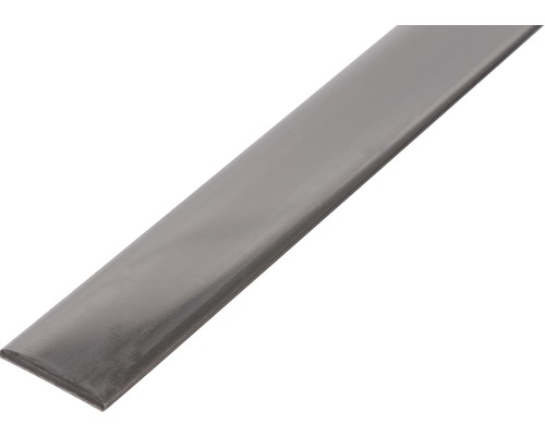 KAISERTHAL Platte stang 20x2 mm RVS 200 cm Plat staal