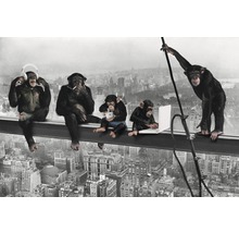 REINDERS Poster The Chimp - Girder 61x91,5 cm