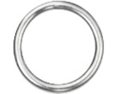DRESSELHAUS Ring rond 60x6 mm galv. verzinkt, 10 stuks Metalen ring