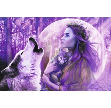Illustratie van een vrouw met wolfjong, wolf en uil voor een bos en maan