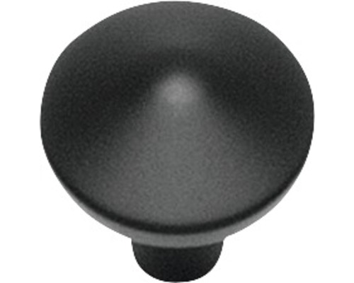 INTERSTEEL Meubelknop met punt mat zwart, Ø 20 mm