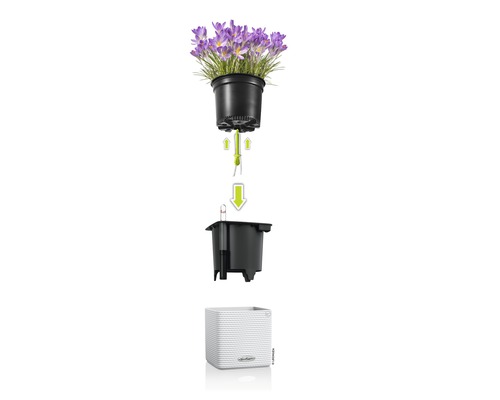 Bloempot met bewateringssysteem en krokussen