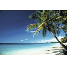 REINDERS Poster Beach - Morning 61x91,5 cm