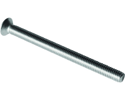 RVS Schroef M6 x 70 mm tbv. RVS roosterplaatje voor 5/4” plug