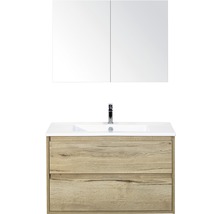 Wastafelcombinatie met spiegelkast, wastafel en onderkast met twee laden.