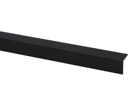 Hoekprofiel kunststof zwart (b x d x l) 25 x 25 x 2600 mm Profielstrip