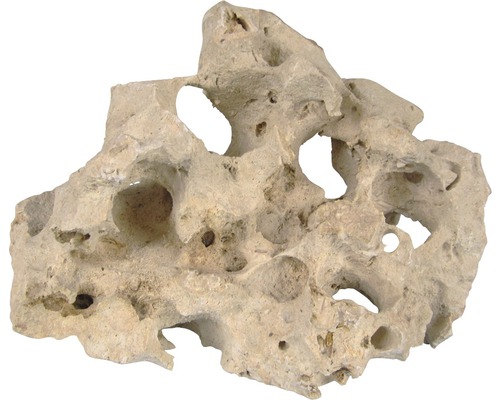 Gatensteen voor aquaria