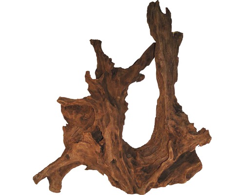 Mangrove wortel bruin L 40-60 cm Mangrove wortel bruin L 40-60 cm