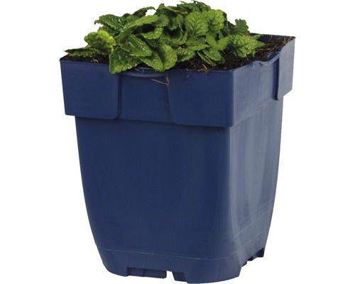 Kunststof bloempot met groene plant