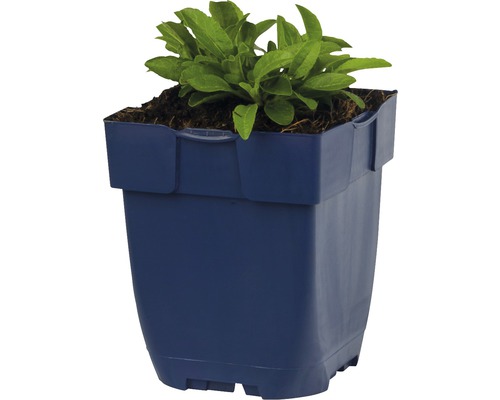 Kunststof bloempot met beplanting