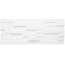 DECOSA Wandpaneel kunststof steen wit 50x20 cm 5 stuks