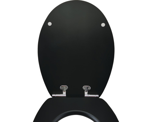 Houten toiletdeksel met chromen beslag