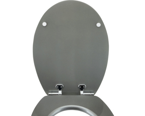 Toiletzitting van kunststof met roestvrijstalen scharnieren