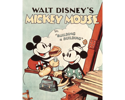 DISNEY Schilderij canvas Mickey Mouse Building 40x50 cm