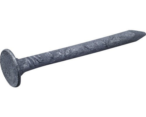 DRESSELHAUS Asfaltnagel 2,0x10 mm therm. verzinkt, 1 kg Een enkele stalen spijker met kop.