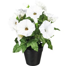 Kunstplant met witte bloemen in zwarte pot