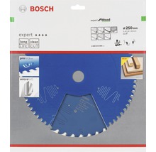 Bosch Expert Wood cirkelzaagblad, 250 millimeter diameter