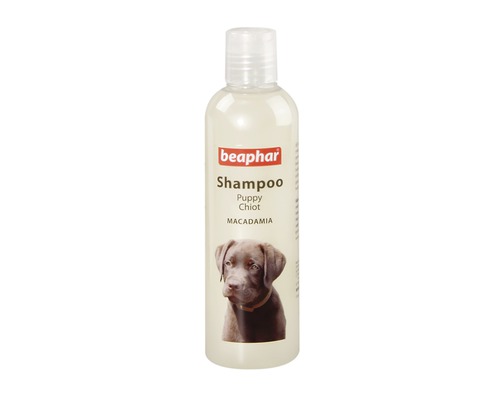 BEAPHAR shampoo puppy 250 ml-0