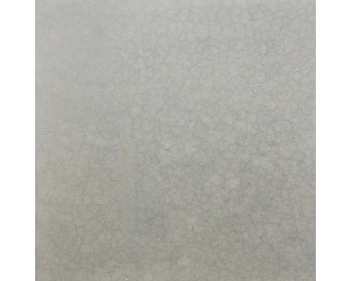 EXCLUTON Terrastegel grijs 60x60x4 cm