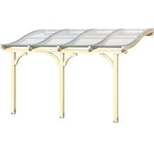 Houten carport met transparant dak