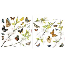 KOMAR Raamsticker Cheerful vlinders 31x31 cm-thumb-1