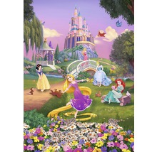 Illustratie met de Disneyprinsessen voor een kasteel in een helder, weelderig tuinlandschap.
