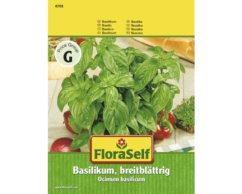 FLORASELF Basilicum breedbladig