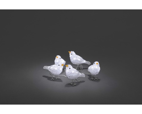 Decoratieve vogelbeeldjes met verlichting voor binnengebruik