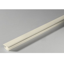 Kunststof afsluitprofiel voor wand en plafond