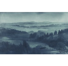 Landschap met bergen en bomen in de mist