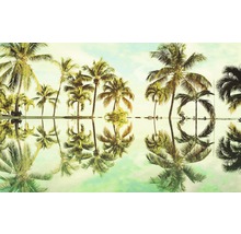 Illustratie met palmbomen en hun reflectie