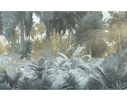 KOMAR Fotobehang vlies P015-VD4 Misty Jungle 400x250 cm