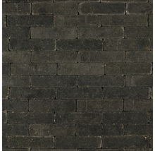 EXCLUTON Abbeystone waalformaat getrommeld nero 20x5x7 cm-thumb-0 EXCLUTON Abbeystone waalformaat getrommeld nero 20x5x7 cm-thumb-0